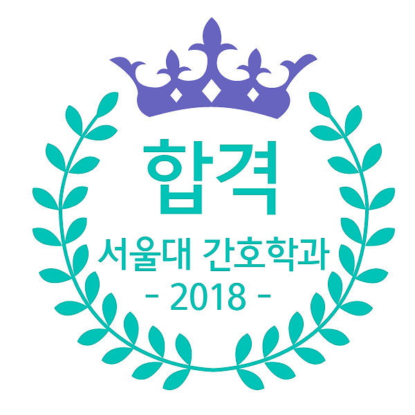 서울대 연세대 고려대 간호학과 합격 후기