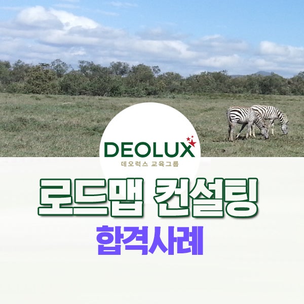 데오럭스 학생부종합전형 로드맵컨설팅 합격사례