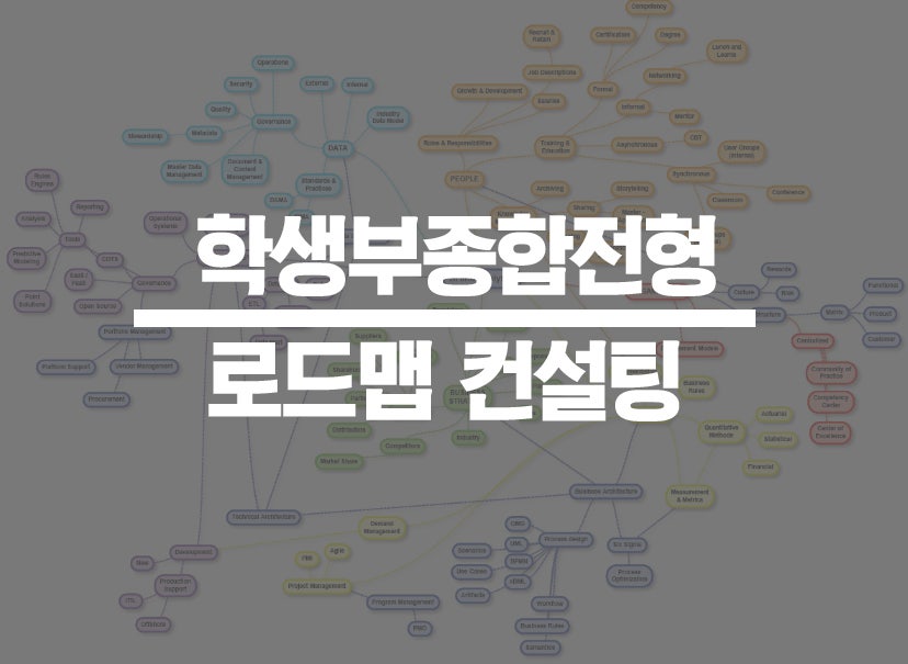 학생부종합전형 합격 사례 (진로,자소서,로드맵,면접 컨설팅)