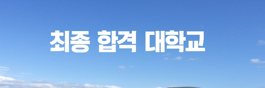 학생부종합전형 합격 사례 (진로,자소서,로드맵,면접 컨설팅)